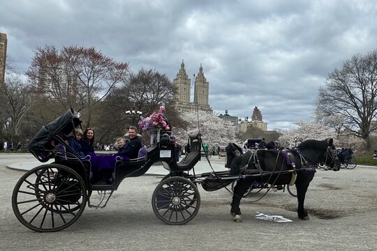 Tour image 14